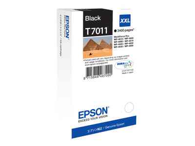 Epson C13t70114010
